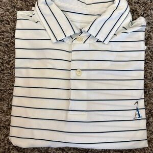 Fairway & Greene Polo Shirt Mens Medium Blue White Striped Performance Golf Logo